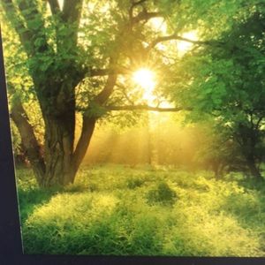 Meet your Posher, Drew